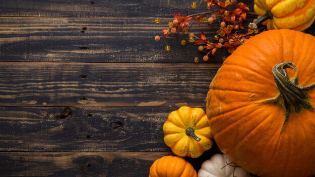 Autumn-Food_1