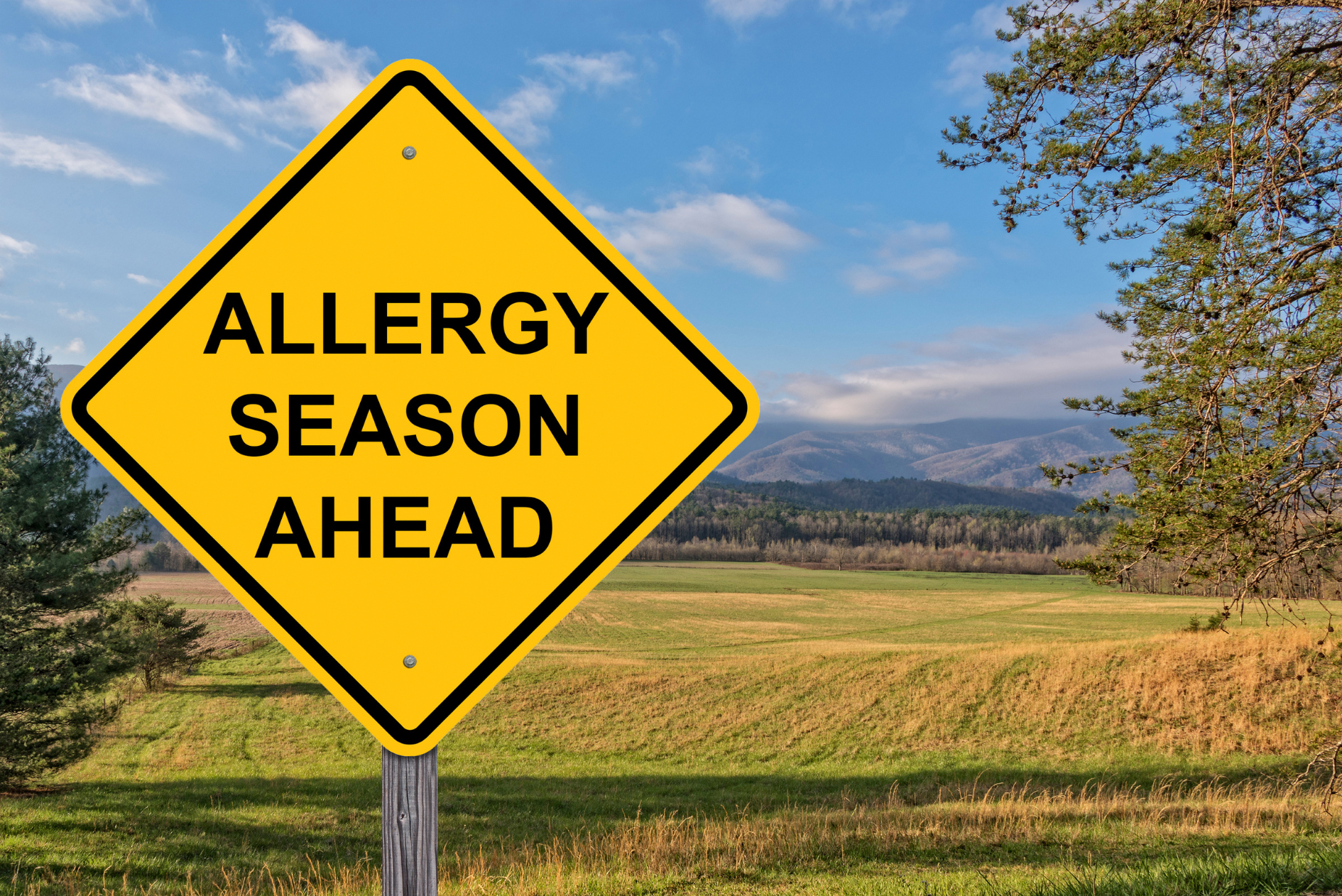 allergies_1