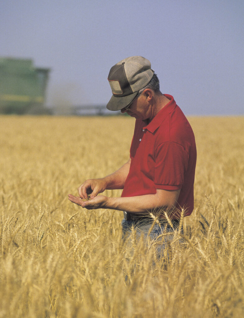 Farmer-wheat-field