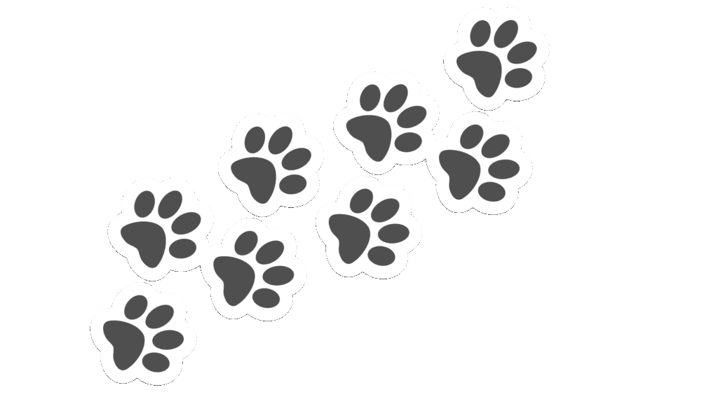 paw prints